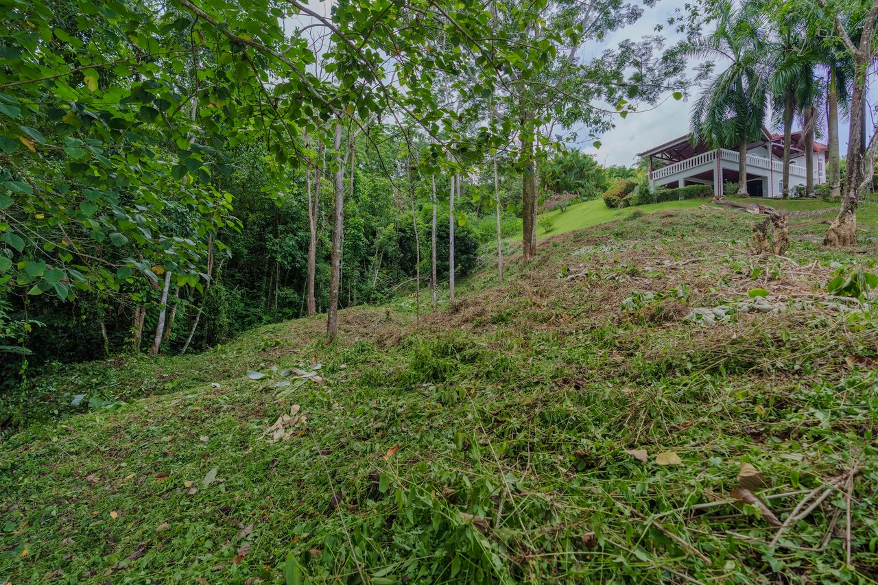 Build-Ready Lot for Sale in Ojochal – Palmera del Trópico Phase 9 | Gated Community, Nature & Beaches Nearby