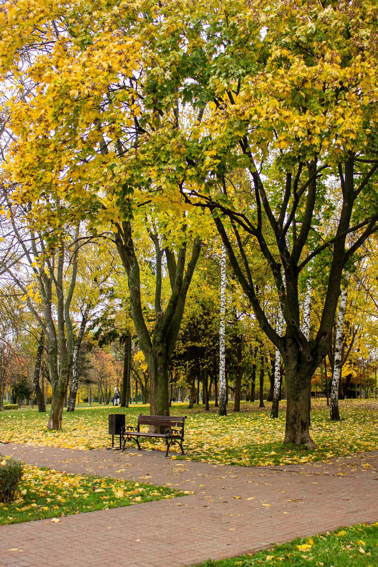 Lifestyle & Recreation