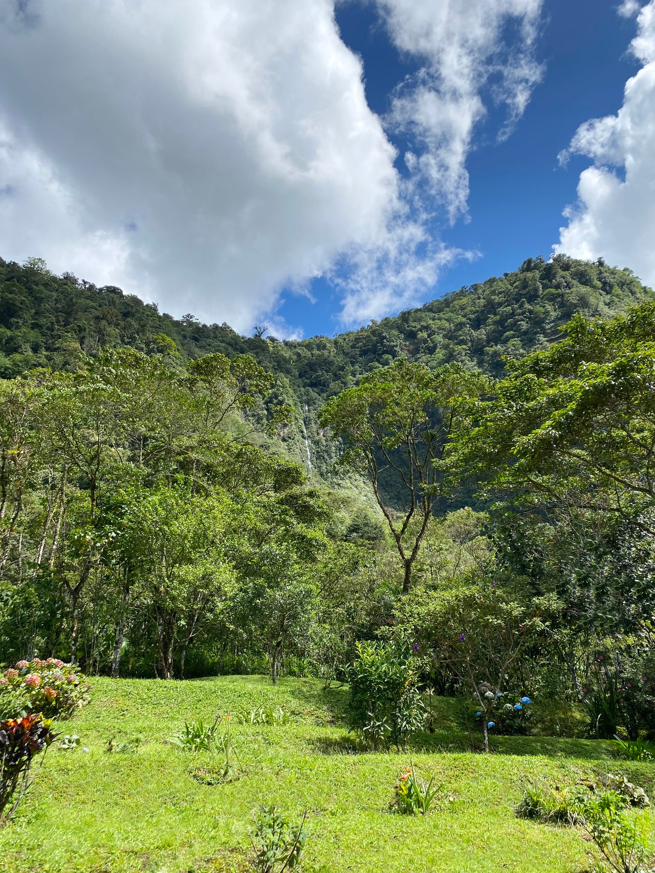 Magnificent Estate with Crystal Clear Streams & Waterfalls - Tierra Serena