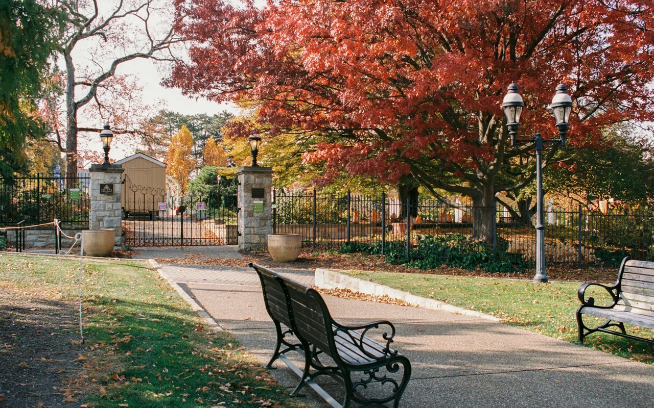 The Charming City of Albany