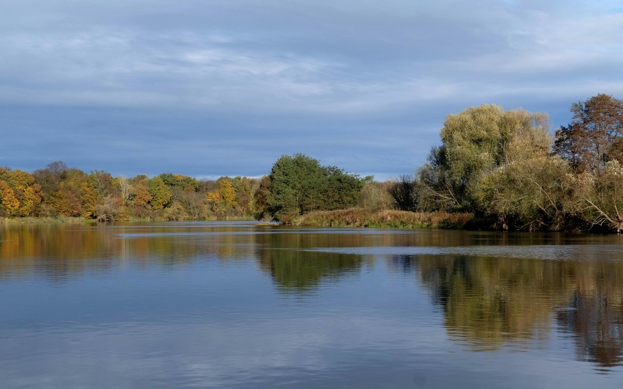 Christiana Lake Edwardsburg