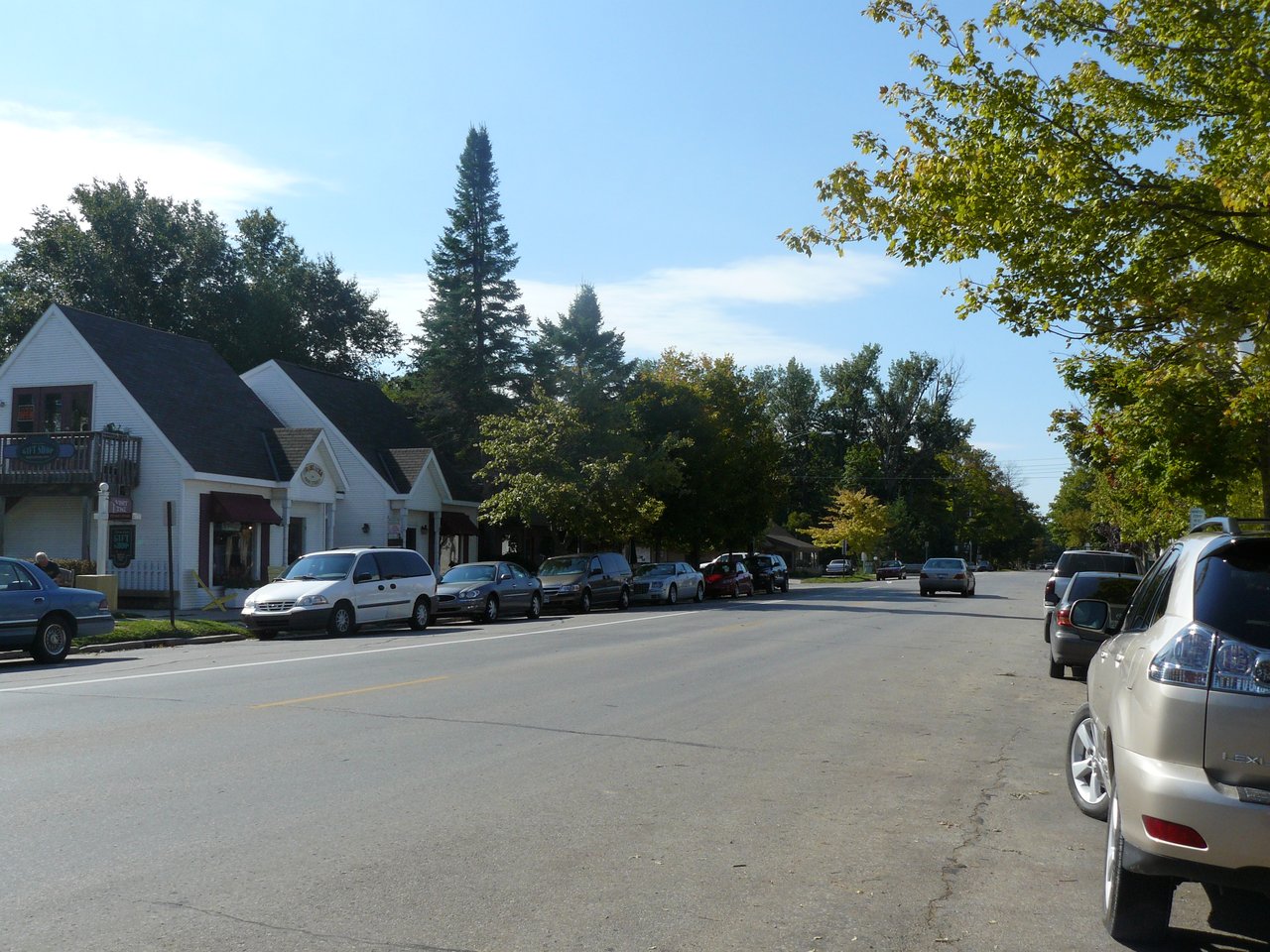 Downtown street with small storefronts, parked cars, and mature trees.