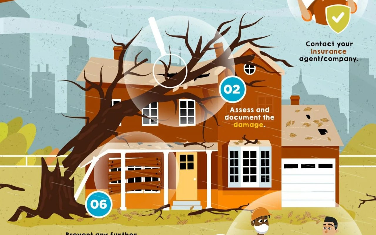 Storm-damage infographic showing a fallen tree on a house and guidance to document damage and contact insurance.