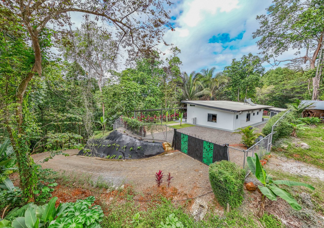 Modern 3-Bed Jungle Home with River and Pool in Cinco Ventanas Ojochal