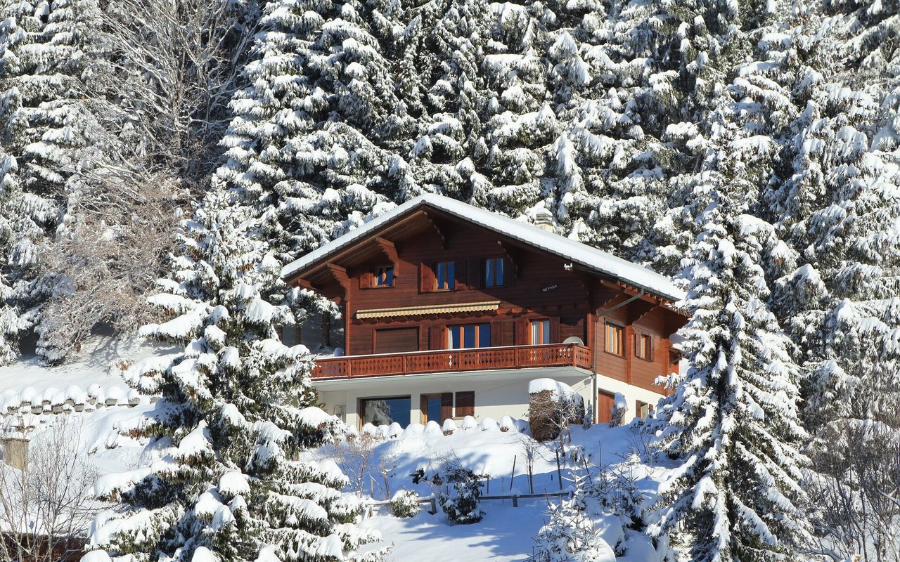 contact-form-background