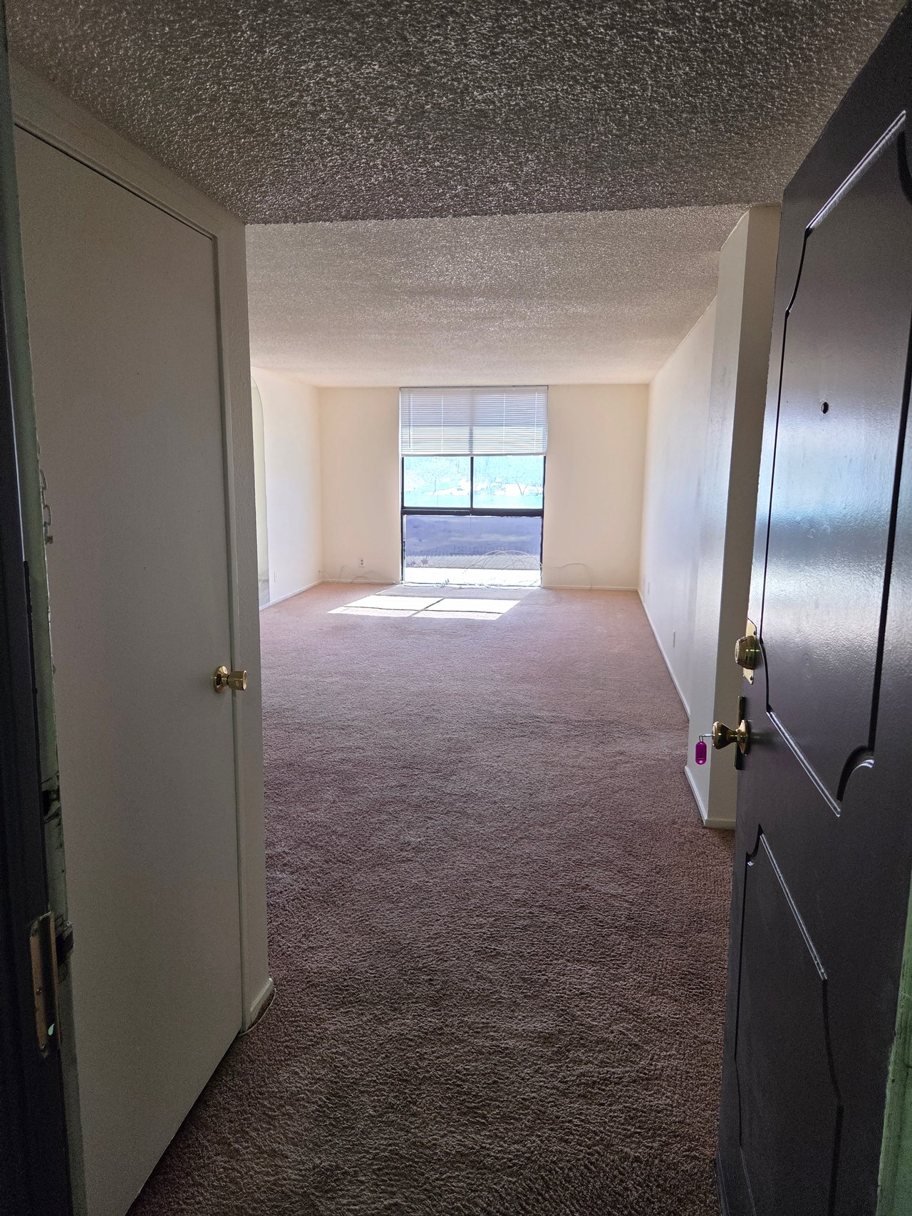3930 University Center Drive #204