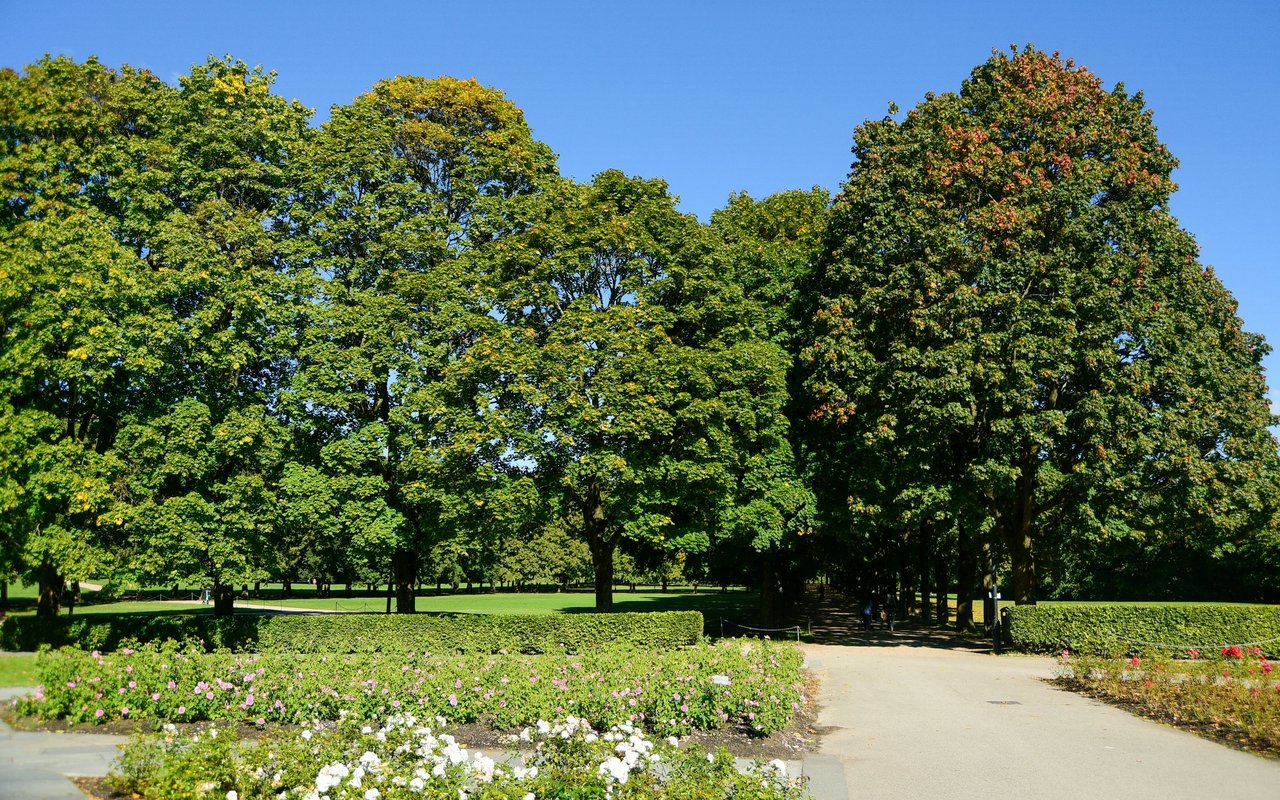 Arboretum