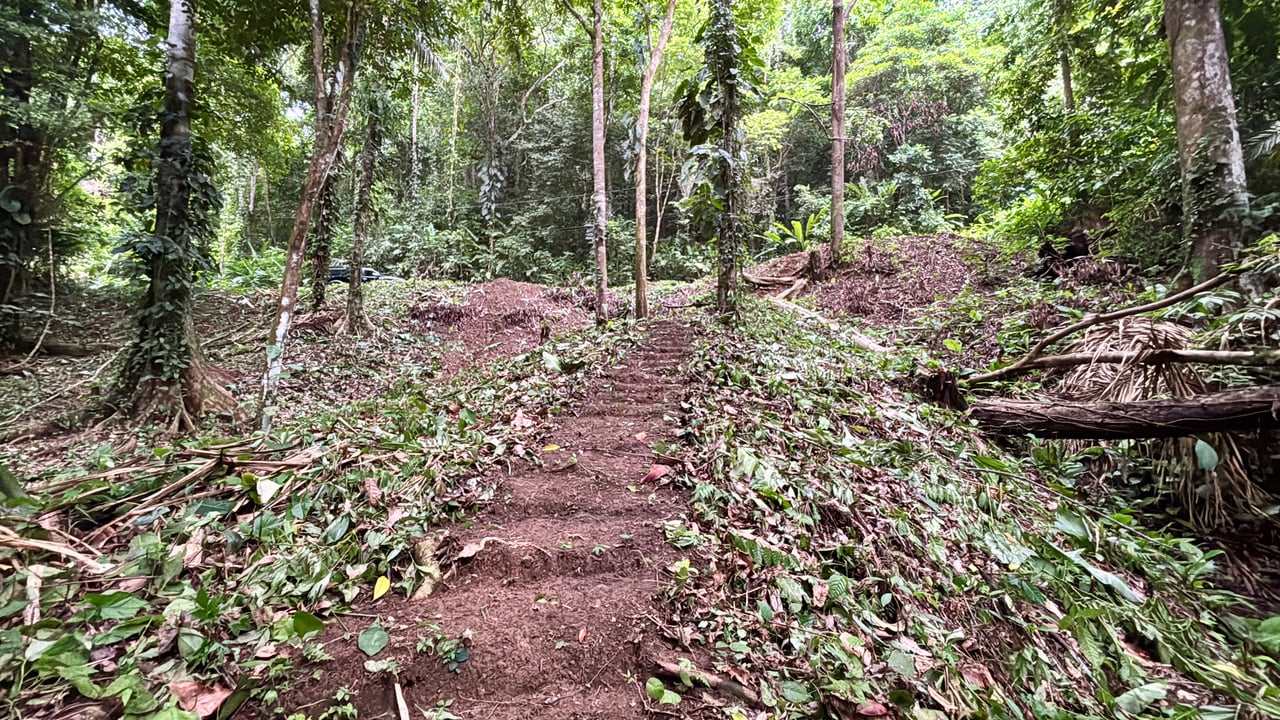 Unique property with creek and waterfall in lush jungle