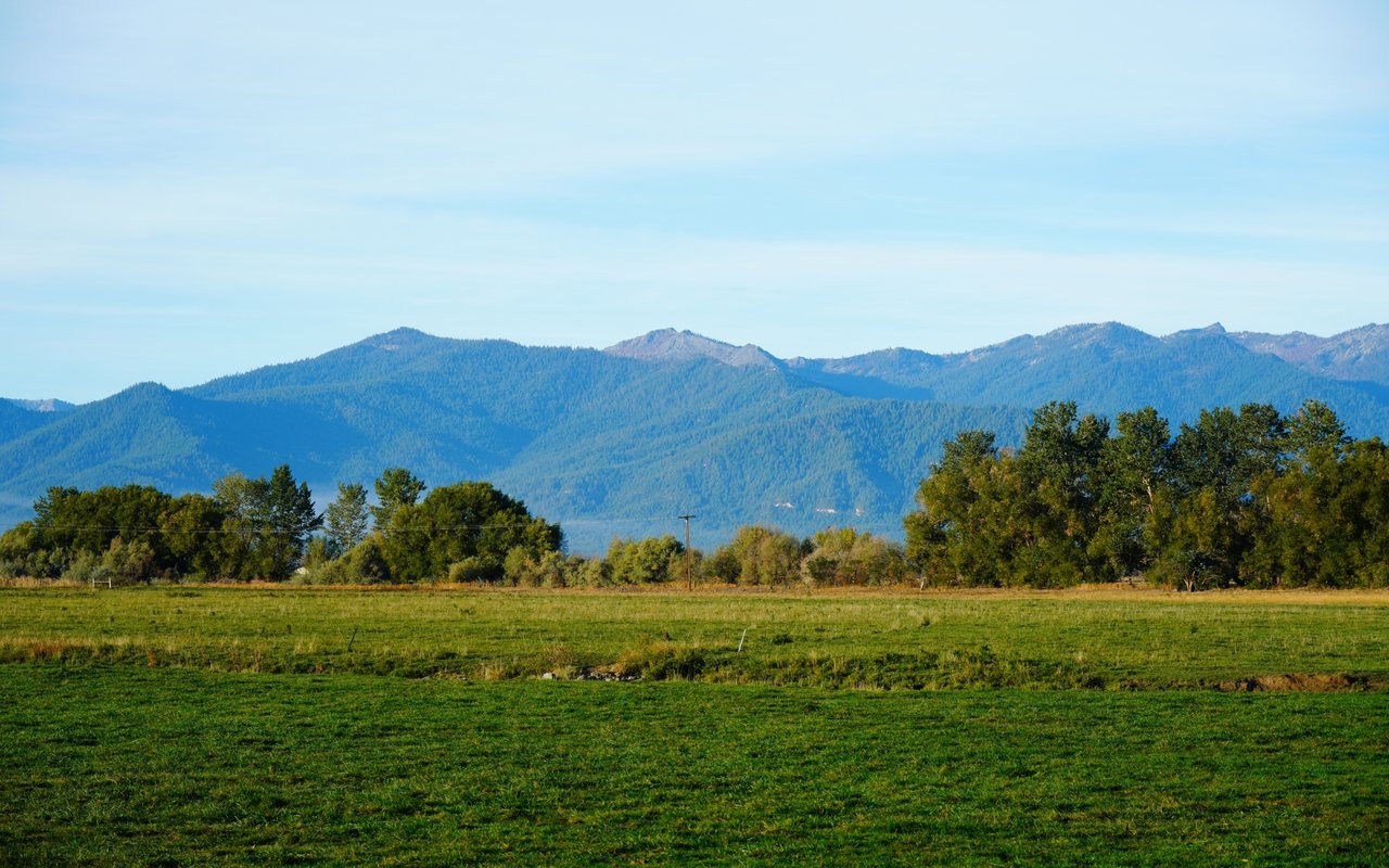 Scotts Valley