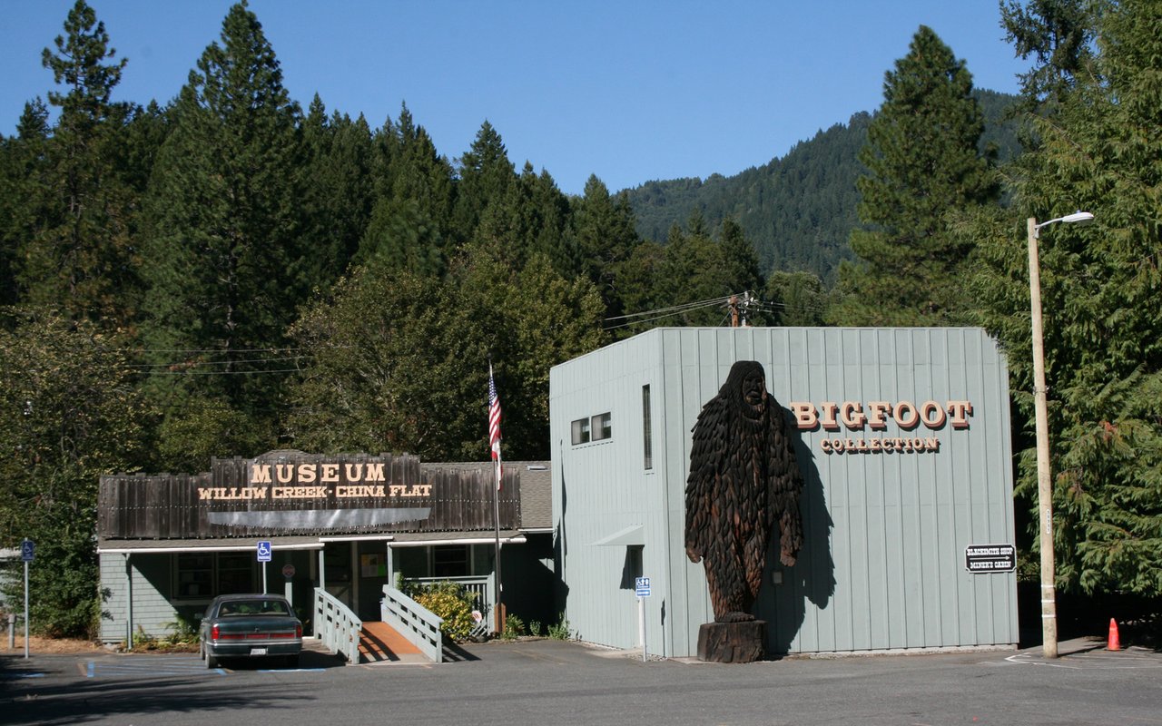 Willow Creek