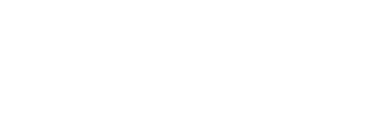 The Smiley Sheehan Group