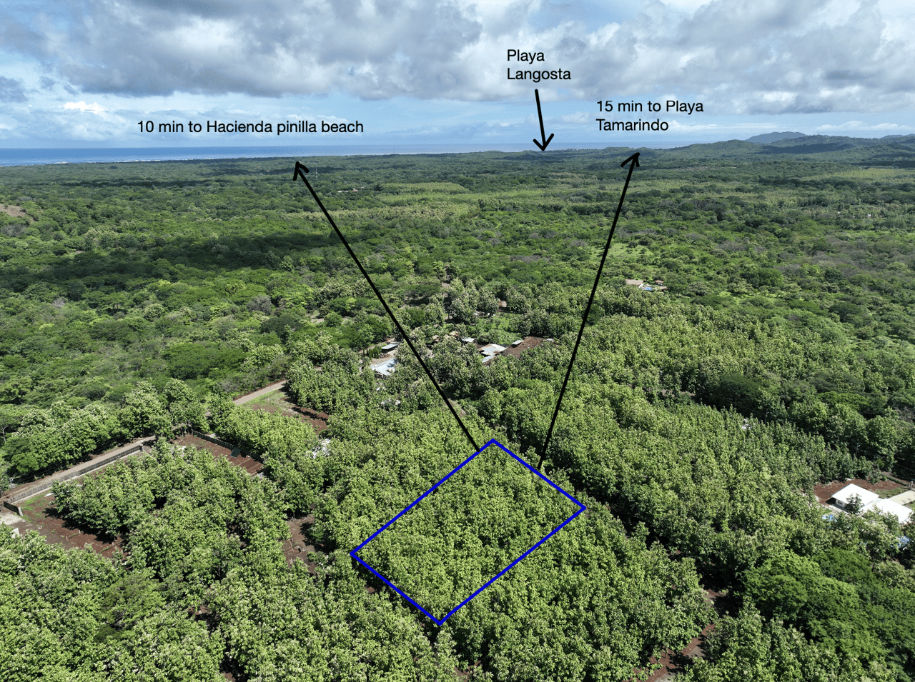 Lot #17 in Pinilla Teka | 5,000m² Lot in Altos de Pinilla, Tranquility and Opportunity 10 Minutes from Playa Avellanas!