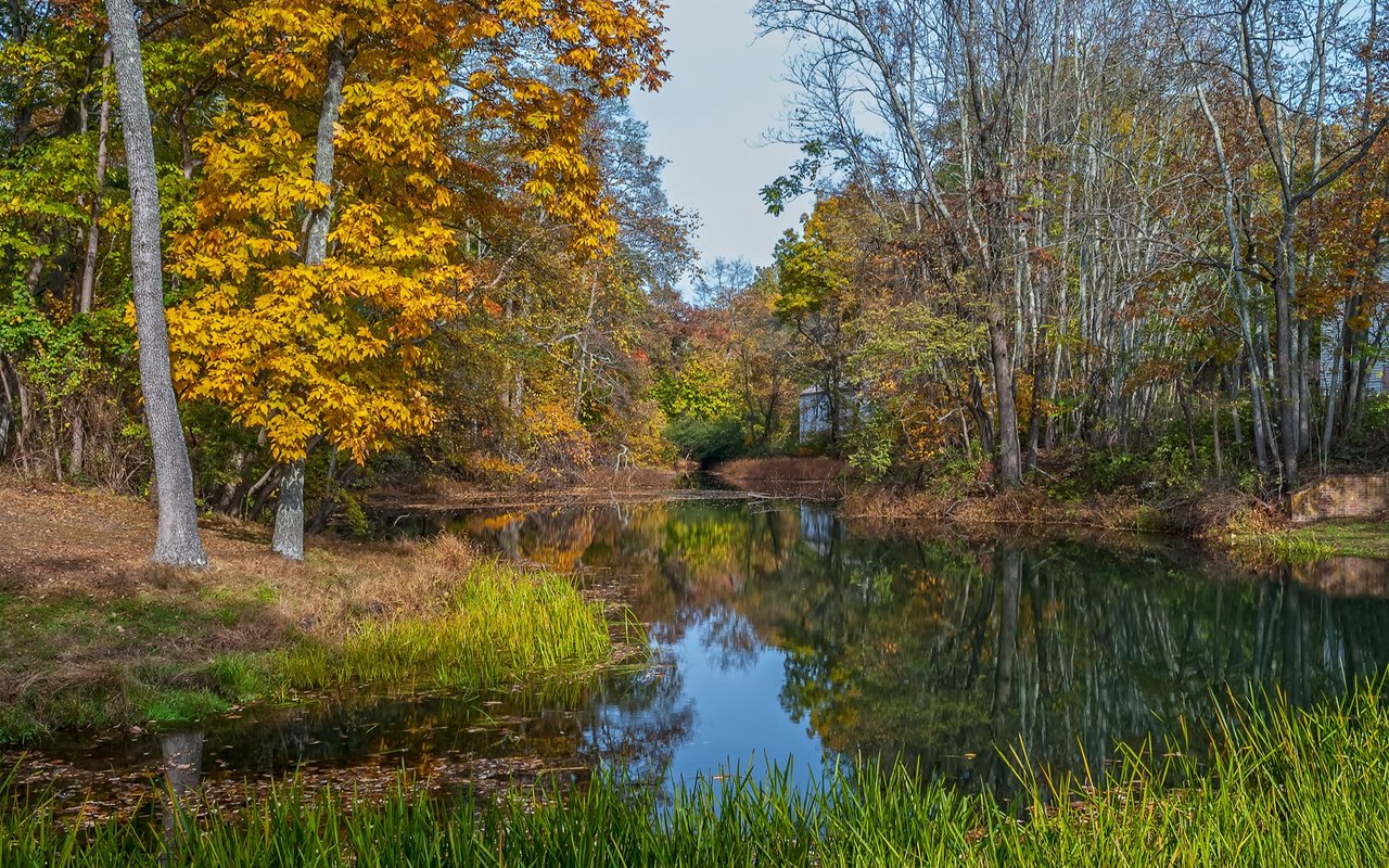 Wall