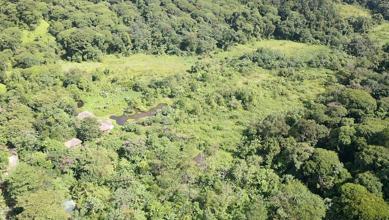 60 Acre Fully Sustainable and Impactful Conservation Initiative Near Golfito