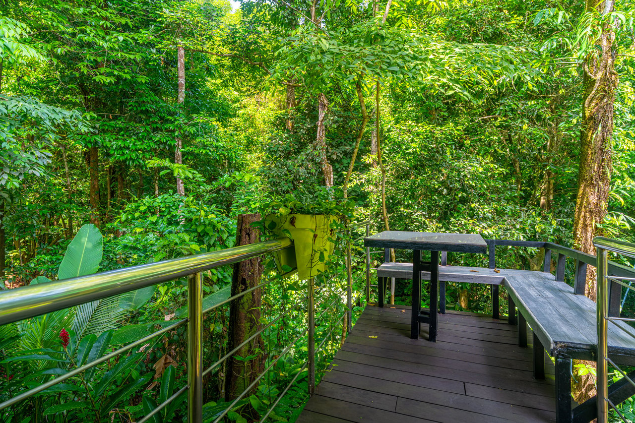 Yaba Chigui, Turnkey Riverside Eco-Resort or Private Family Compound in Ojochal