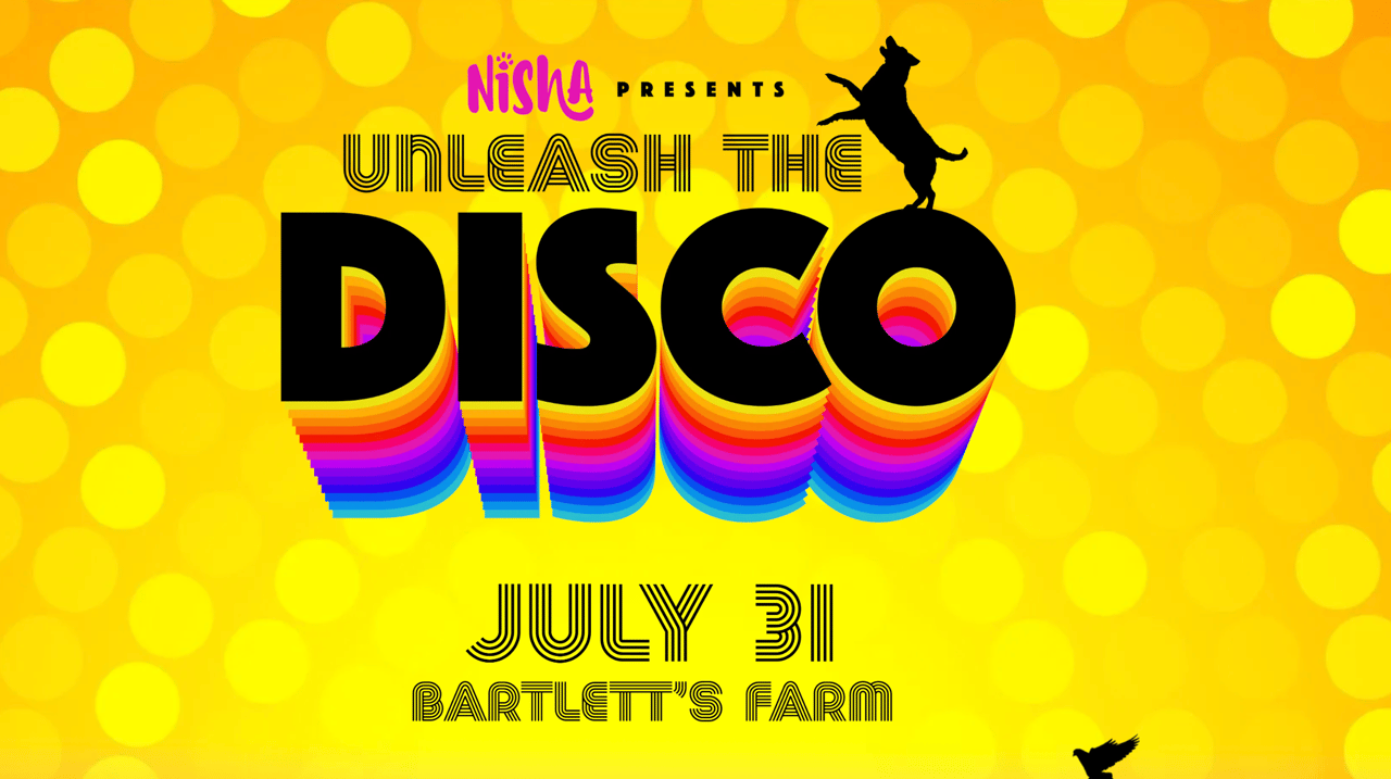 Unleash the Disco Gala Fundraiser