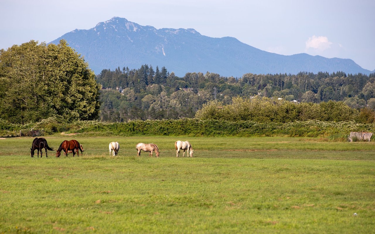 Everett