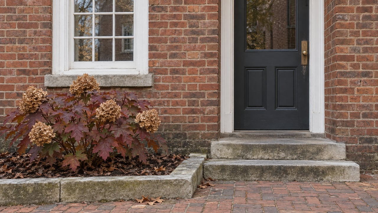 Weathered red-brick home with a white divided-light window, charcoal front door, worn limestone steps, and burgundy oakleaf hydrangea beside a brick walk.