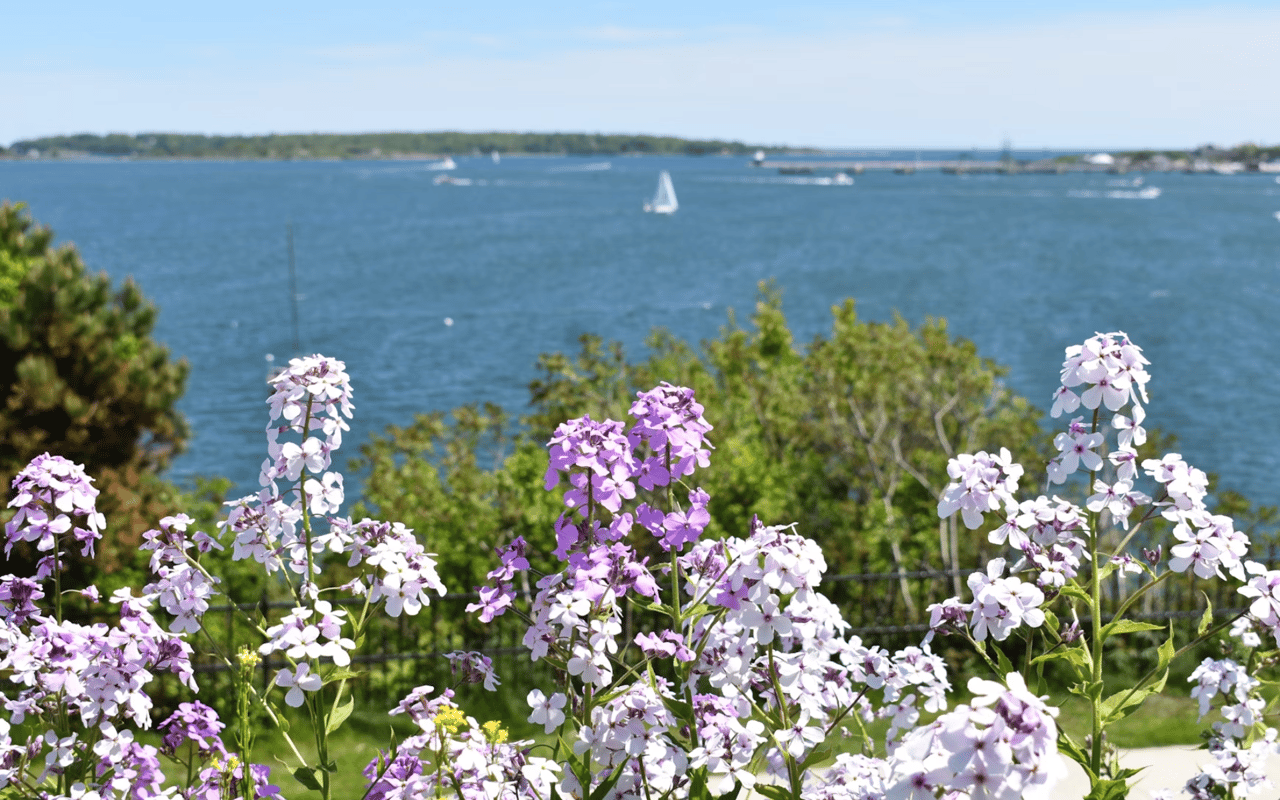 How to Spend a Day Outdoors in Portland