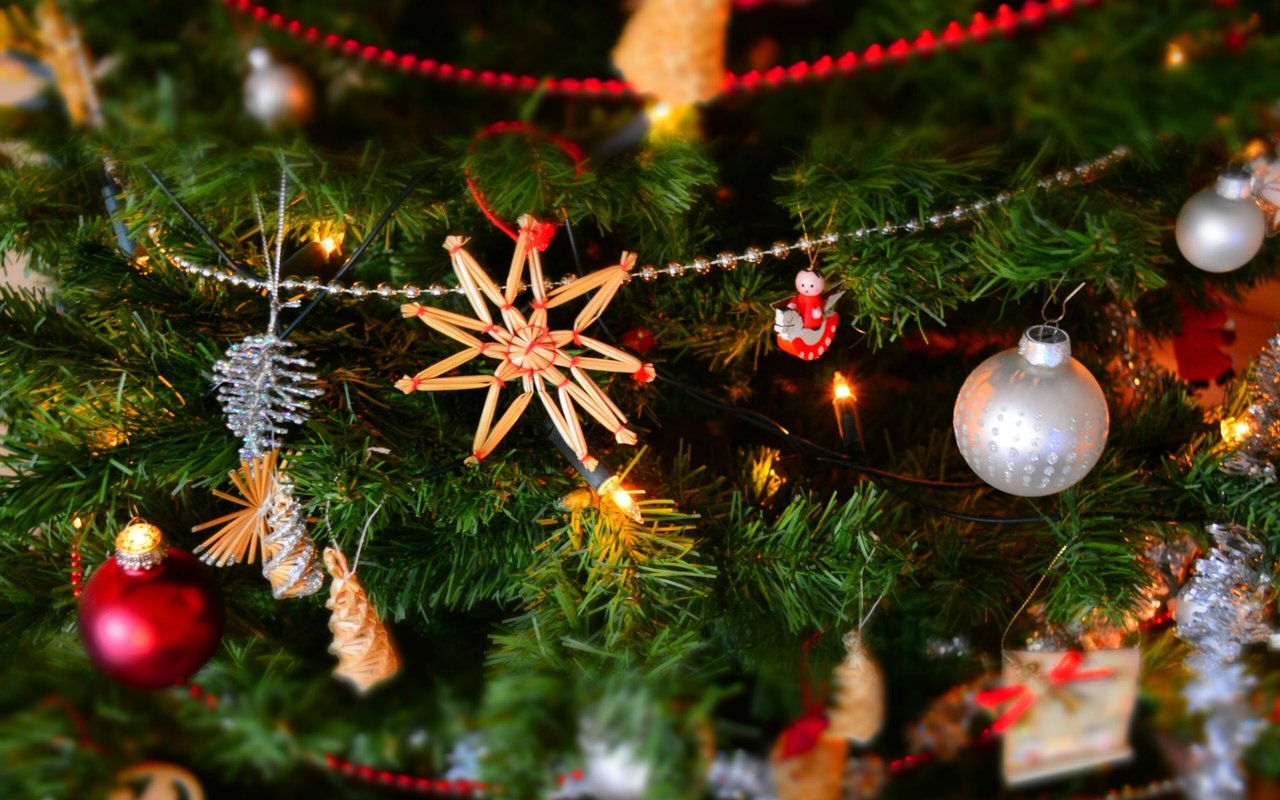 Holiday Events in the Lowcountry