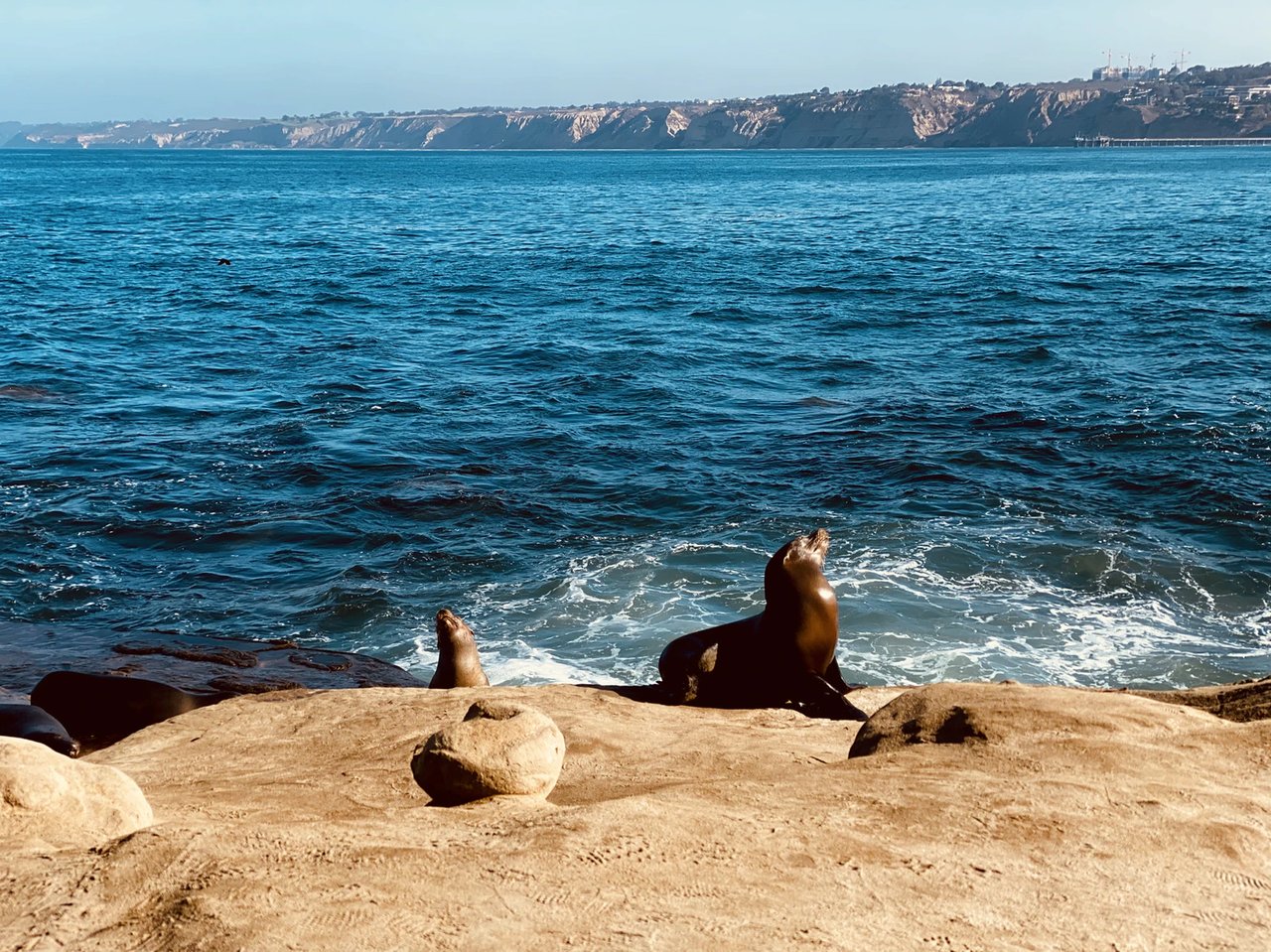 San Diego Beaches