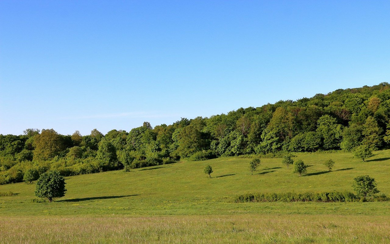 Lewis Hills
