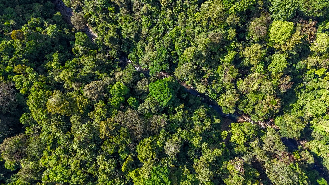 A Huge Rainforest, River & Waterfall Property With TWO Mountain & Jungle-View Luxury Homes on a Massive 4.93 Acre Lot – PLUS an Additional Plantel ready for Development