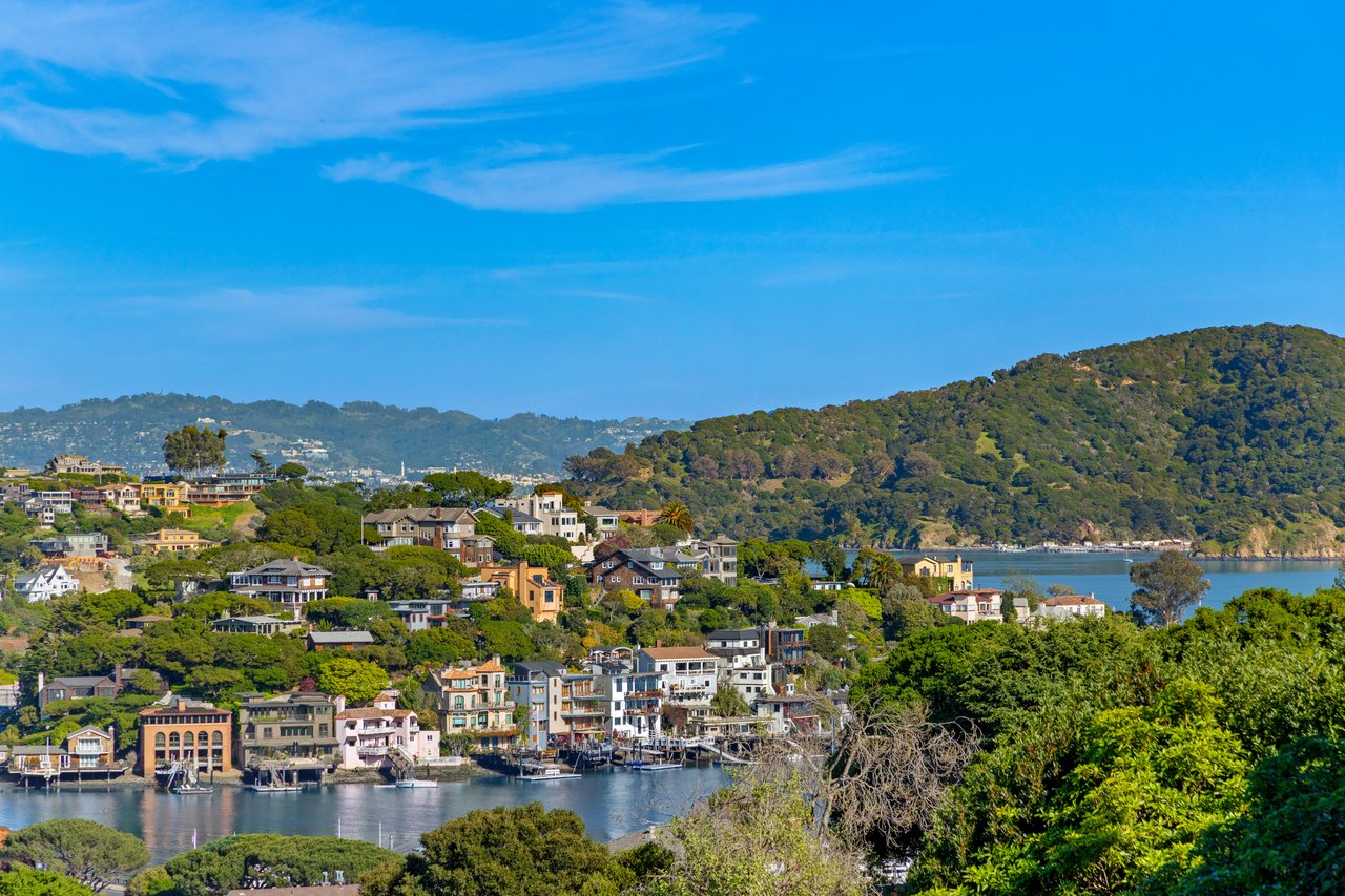 Contemporary Gem on Belvedere Island