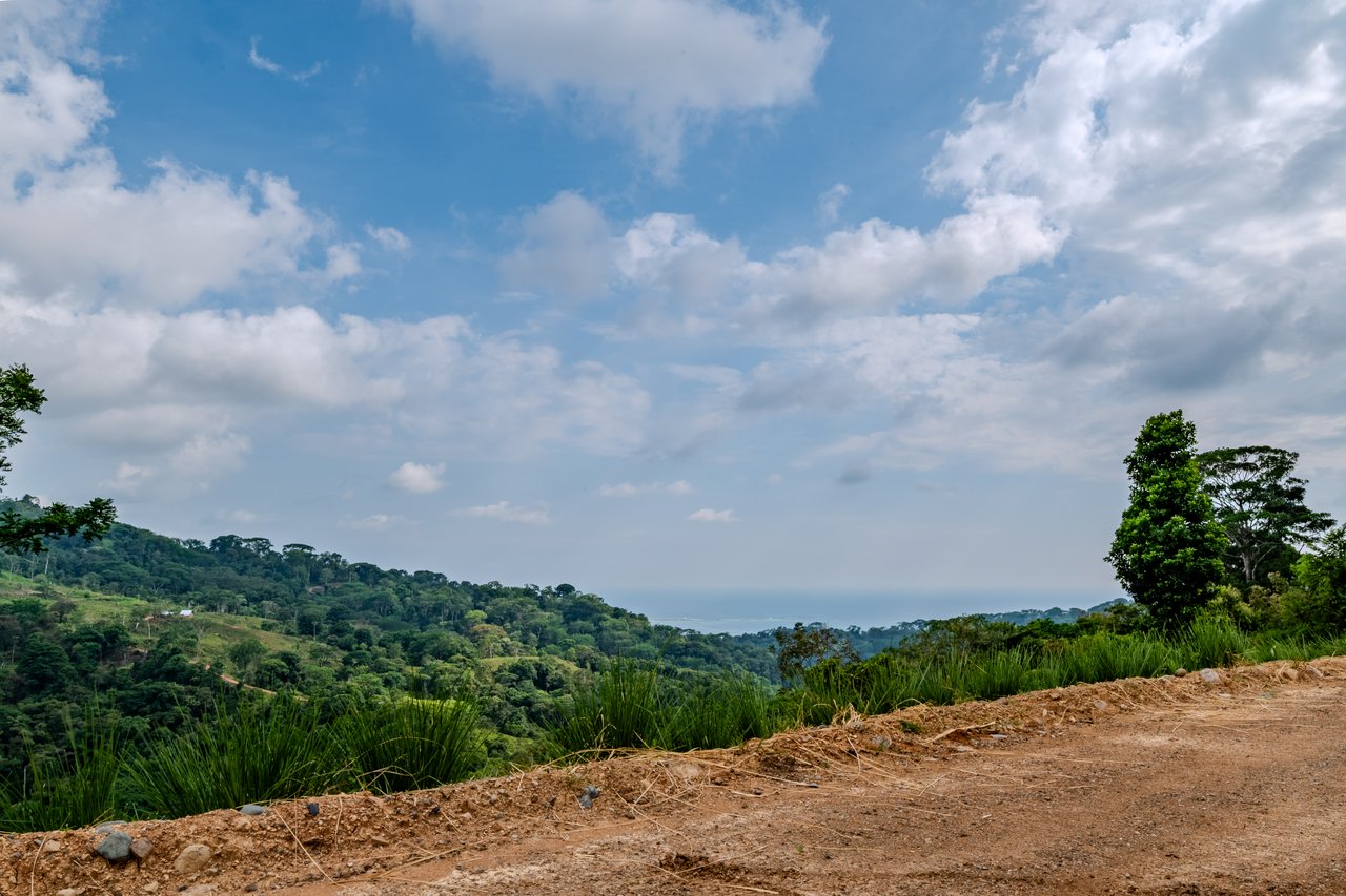 In-Demand 2.3-Acre Ocean View Homesite with Whale Tail Views | San Josecito