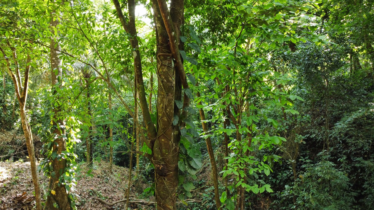 Unique property with terraces and spectacular views near Manuel Antonio National Park