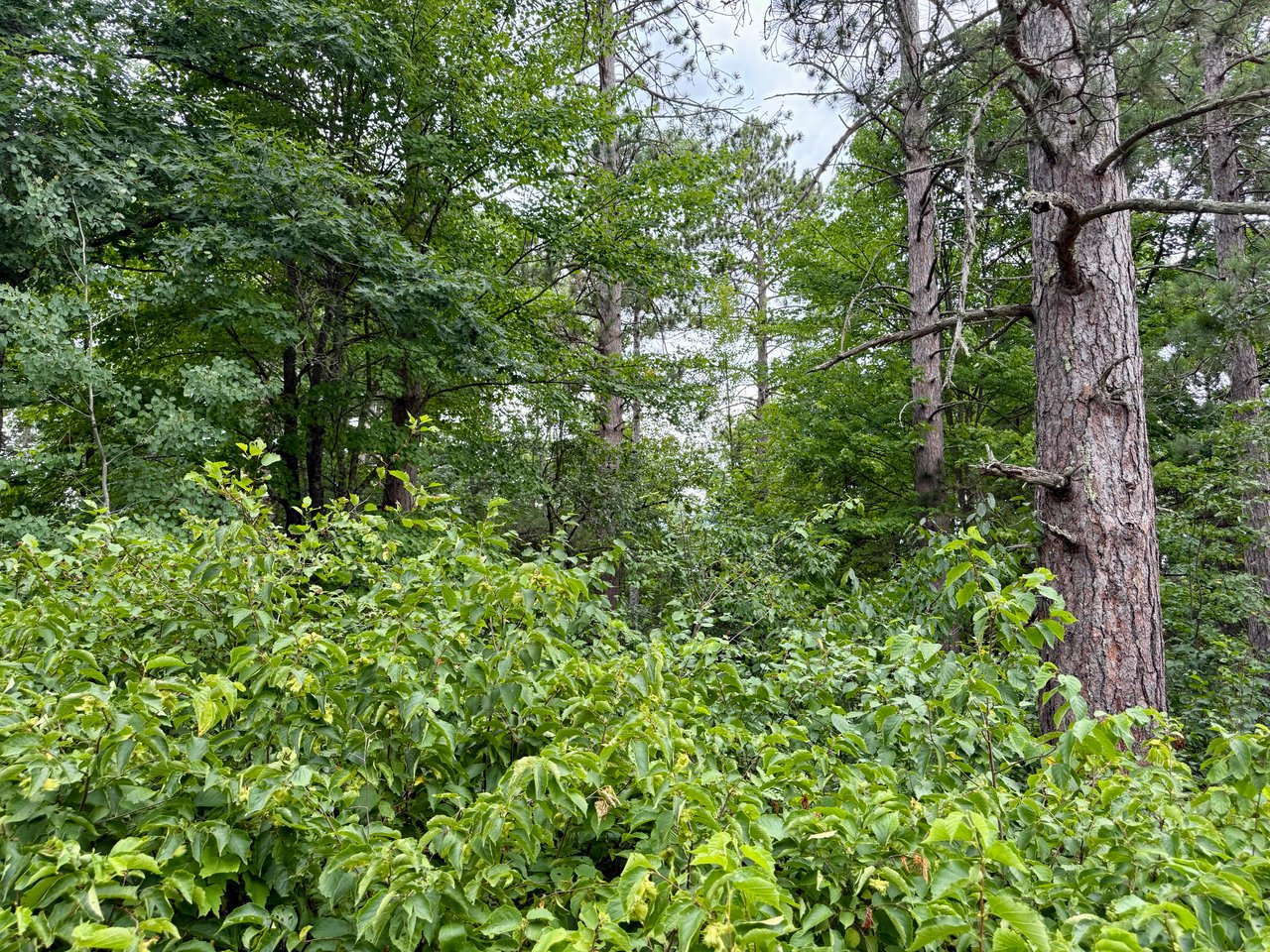 Lot 23 Lake Lodge Drive