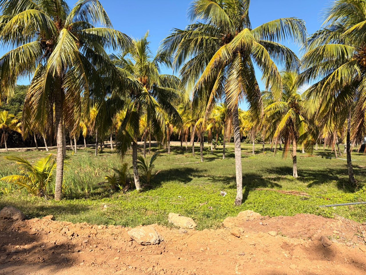 Beachfront Lot Diamond Beach