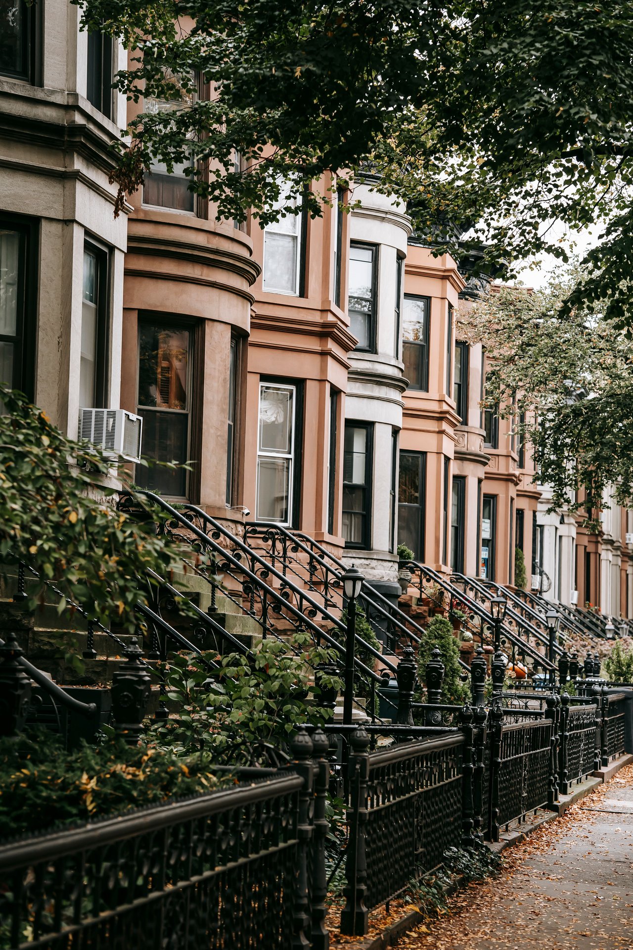 Historic brownstones, townhouses, and multifamily homes along Nostrand Avenue in Prospect Lefferts Gardens, Brooklyn.