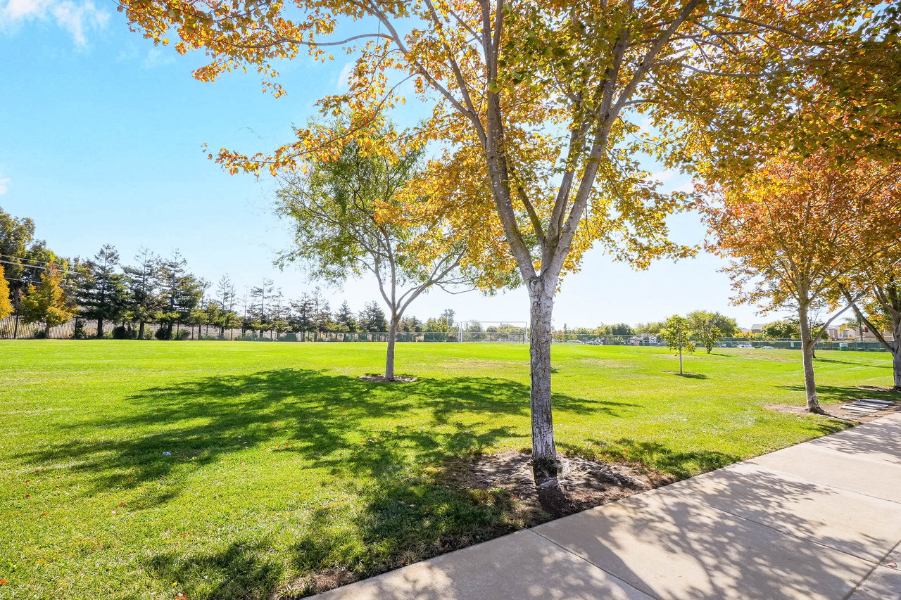 Neighborhood park with a green lawn, autumn trees, and a fenced sports field.