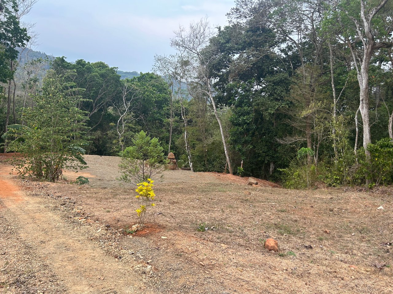 0.59 acre Lot El Carmen / El Carmen , Zapotal, Nandayure, Guanacaste