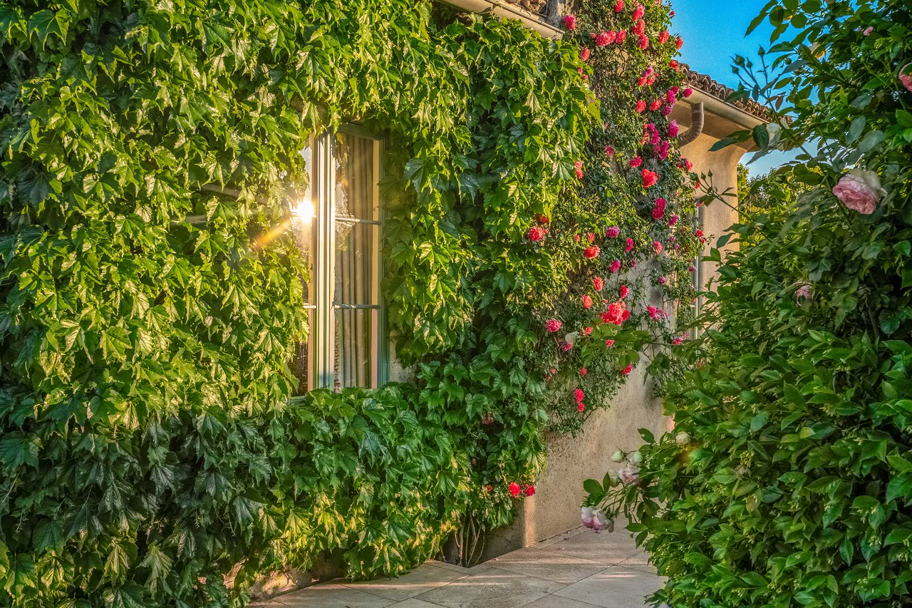 Mills Lane, St. Helena