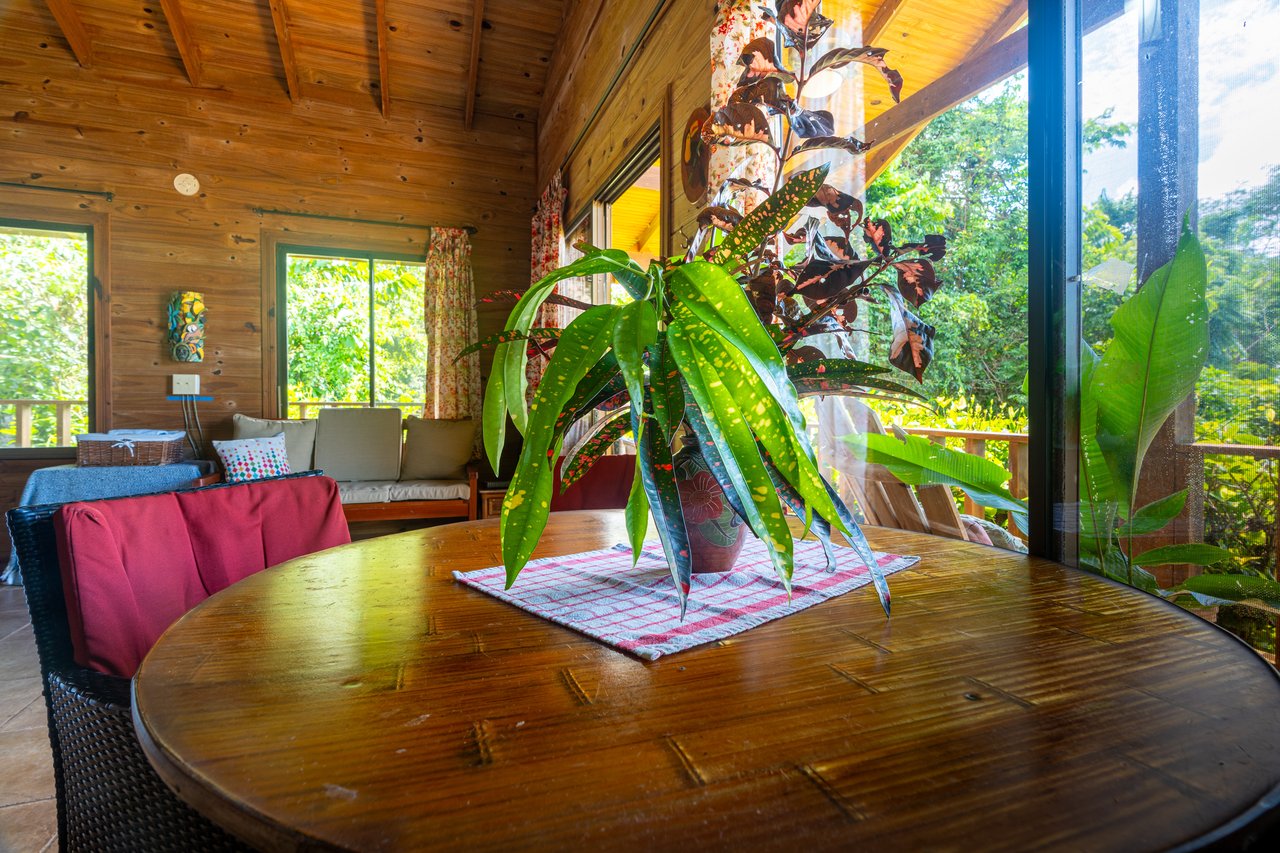 VILLA KRISTINA MARIA - 3.84 ACRES - PERLA DE BALLENA ESTATES