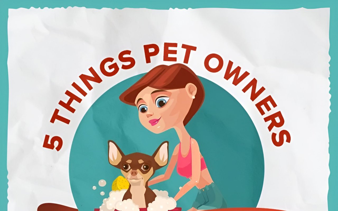 The Pet Owner's Guide To Buying A Home: 5 Things to Consider for Your Furry Friends