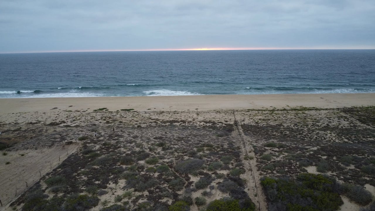 Ellias Calles Beachfront 2.2