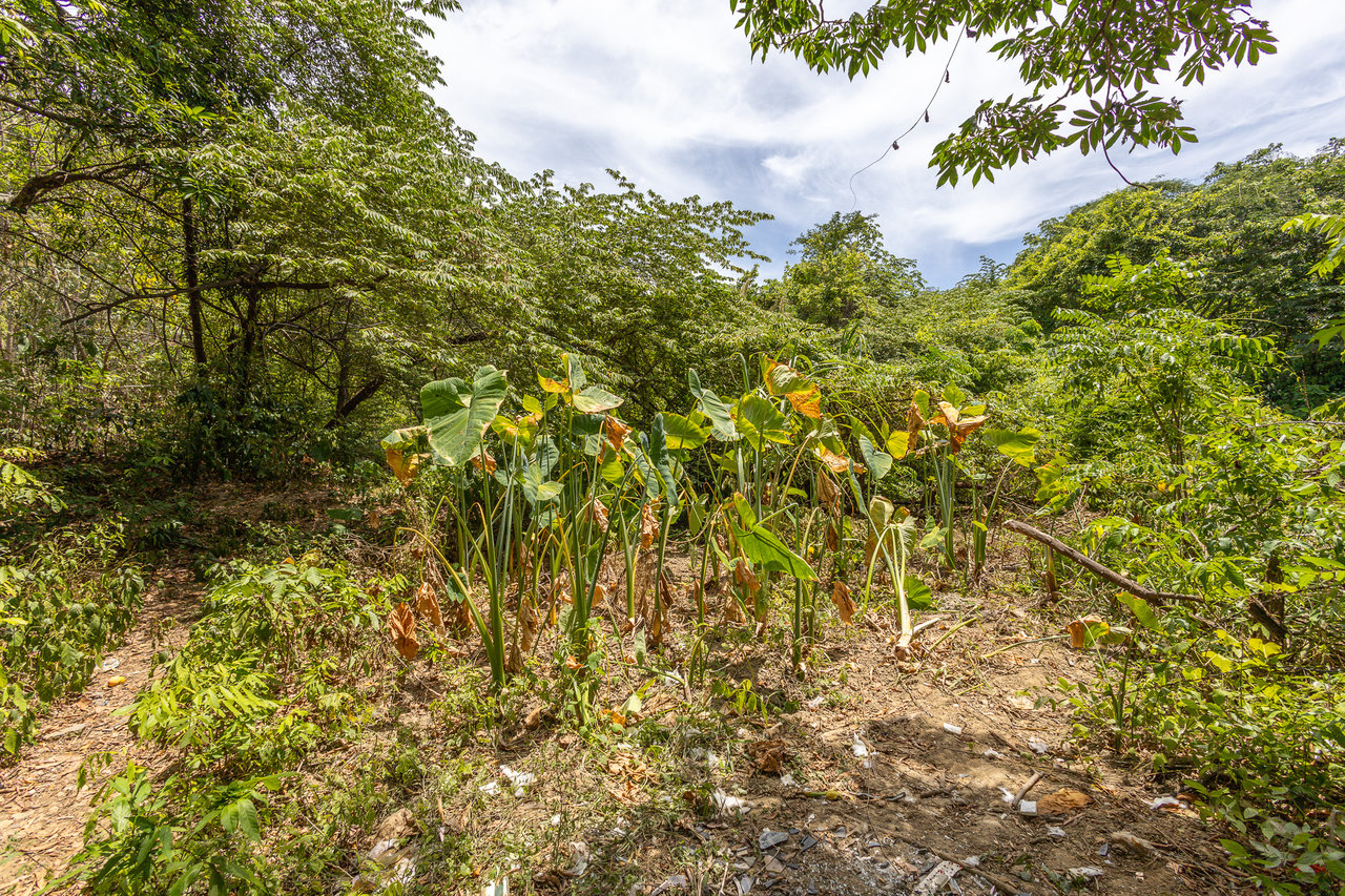 2.27 Acres close to Main Rd, Dixon Cove