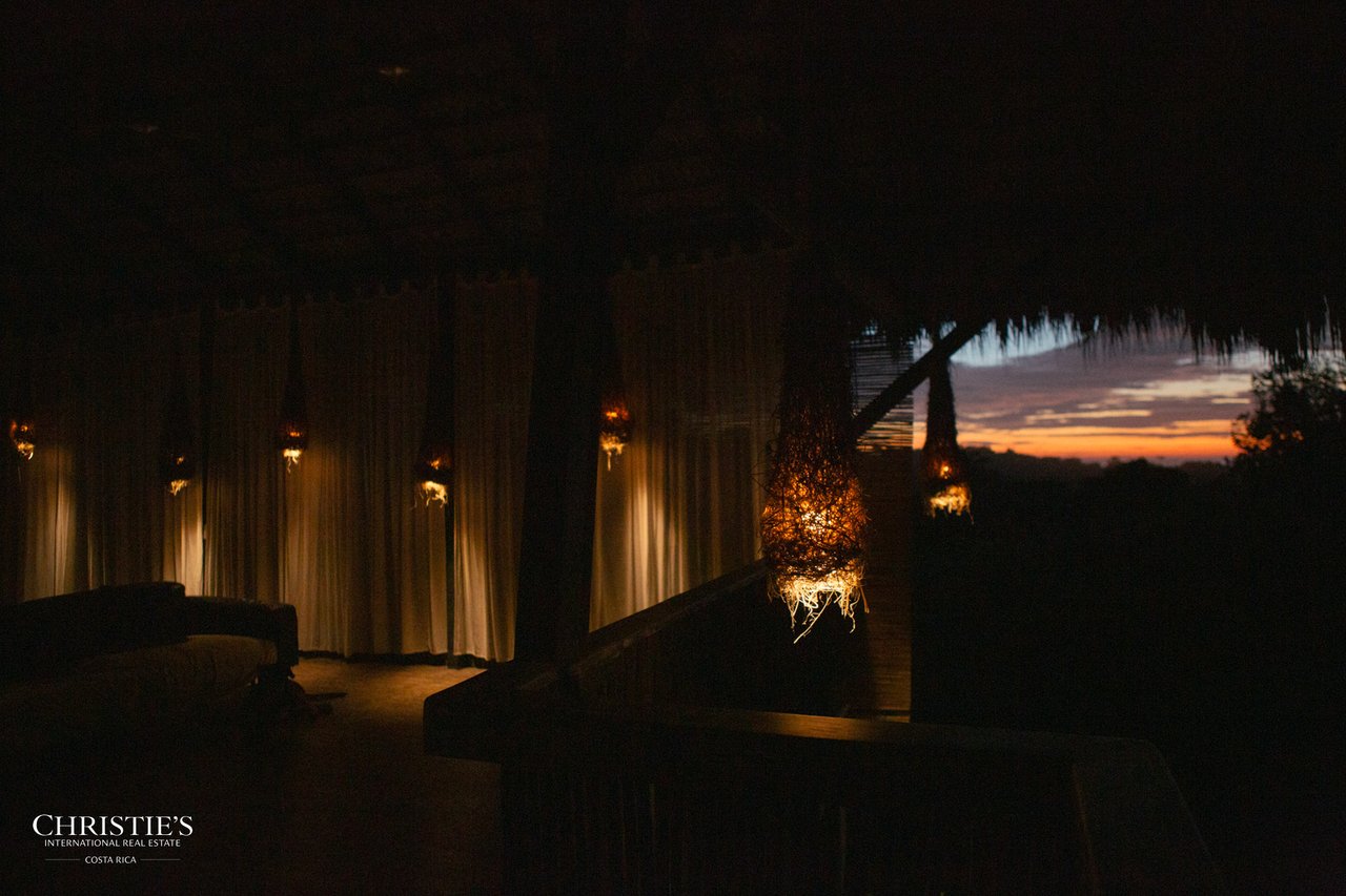 Villa Animales – Luxury Jungle Sanctuary