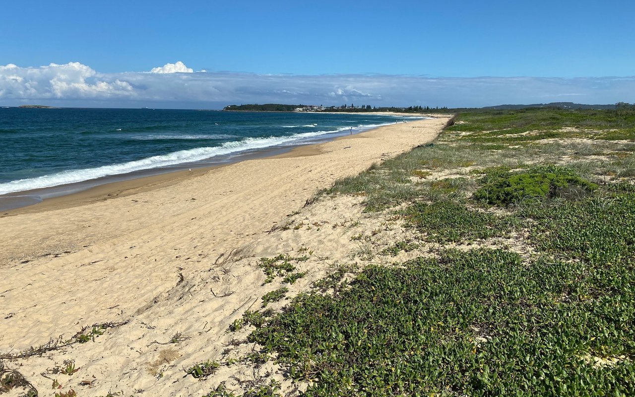 Sandy beach beside blue ocean, with coastal vegetation and a distant shoreline.