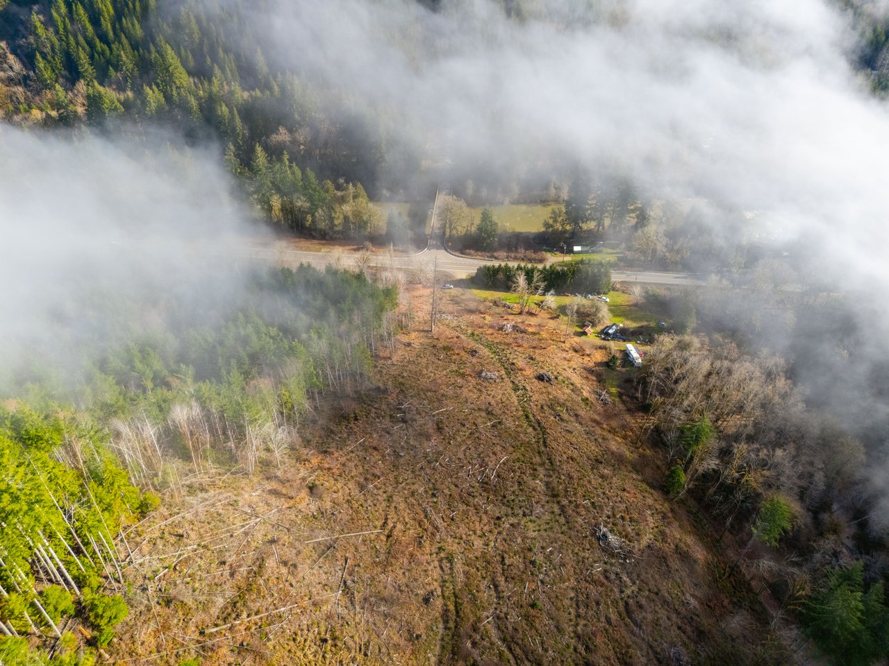 Waite Creek Woodlands