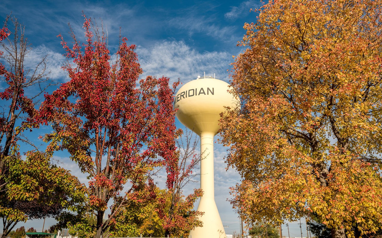 Meridian