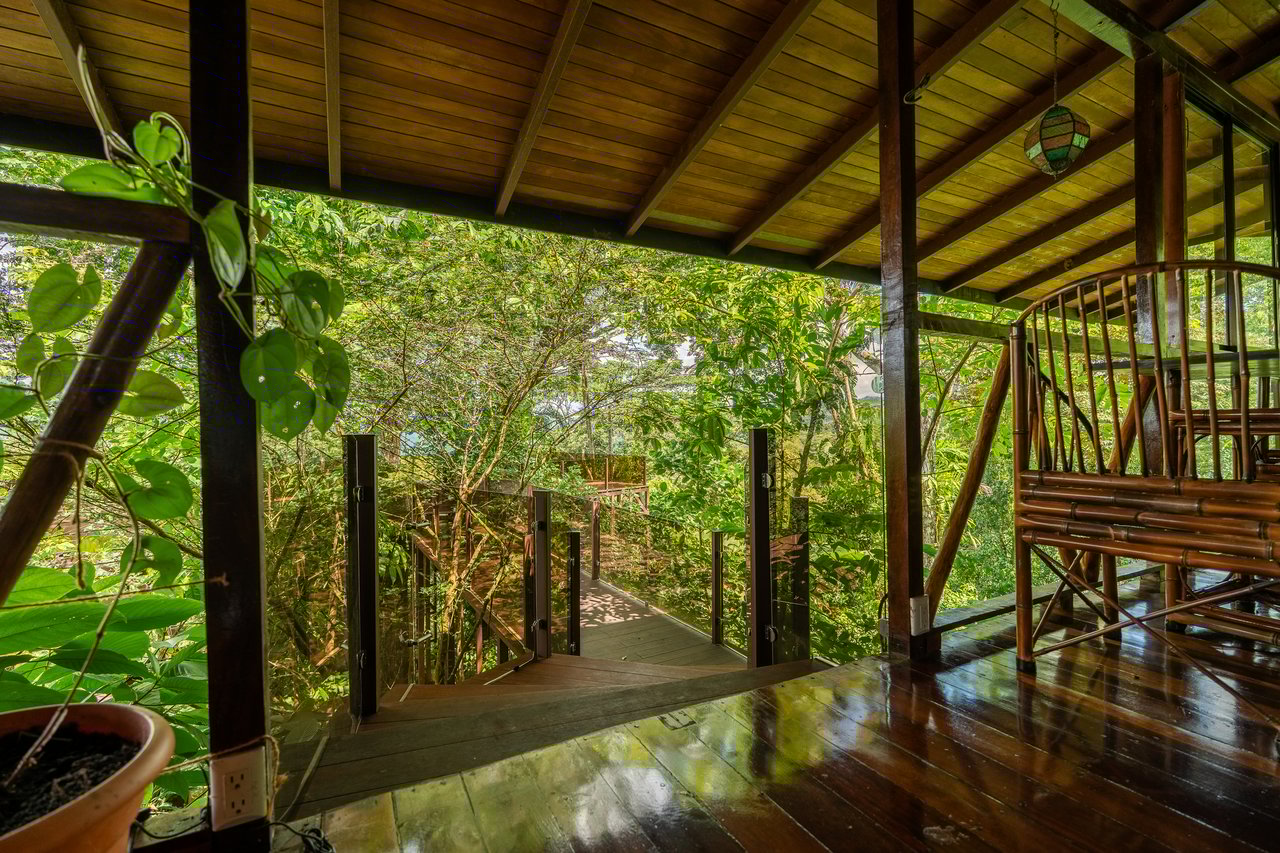 Where the Journey Begins | Private Jungle Estate at Nauyaca Waterfalls