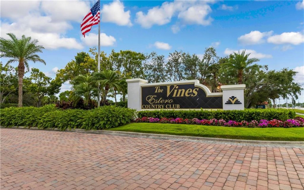 The Vines