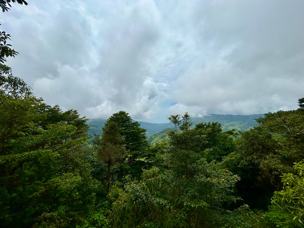 The Last of Its Kind Property in San Luis de Morete, Over 1.53 Acres