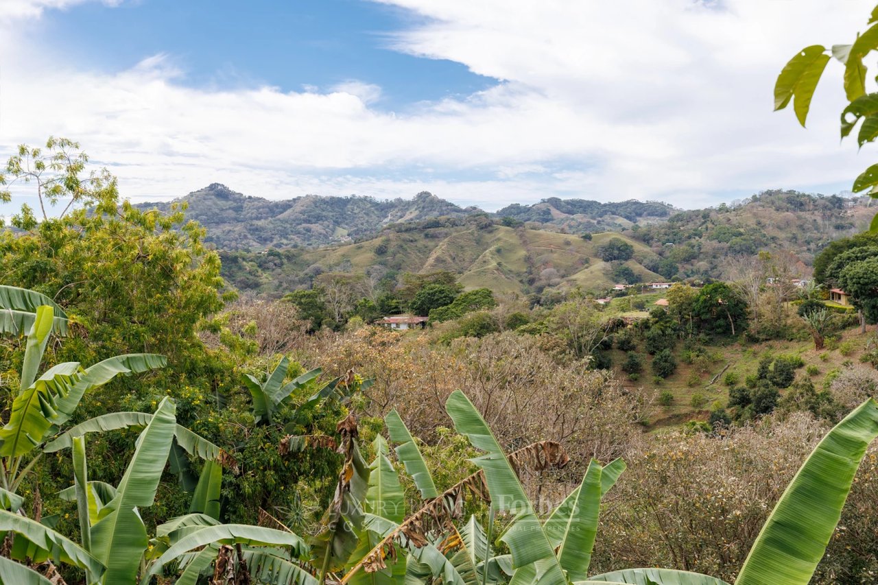 20875 - Villa Plumeria: Atenas, 3.8 Ha with Pool, Coffee Plantation & Views