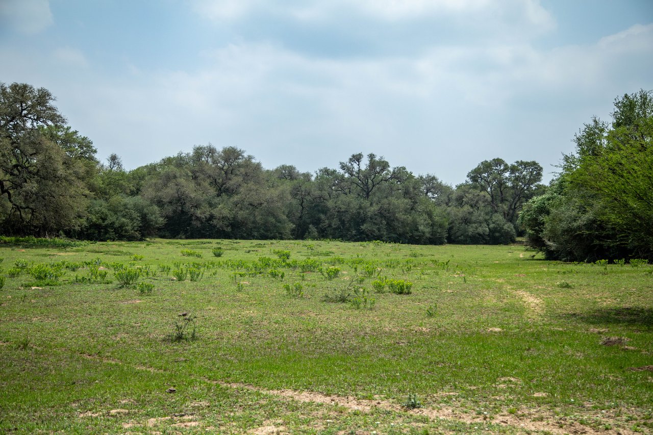 Five Mile Creek Reserve | 252.73± Acres-High Fence | DeWitt County, TX