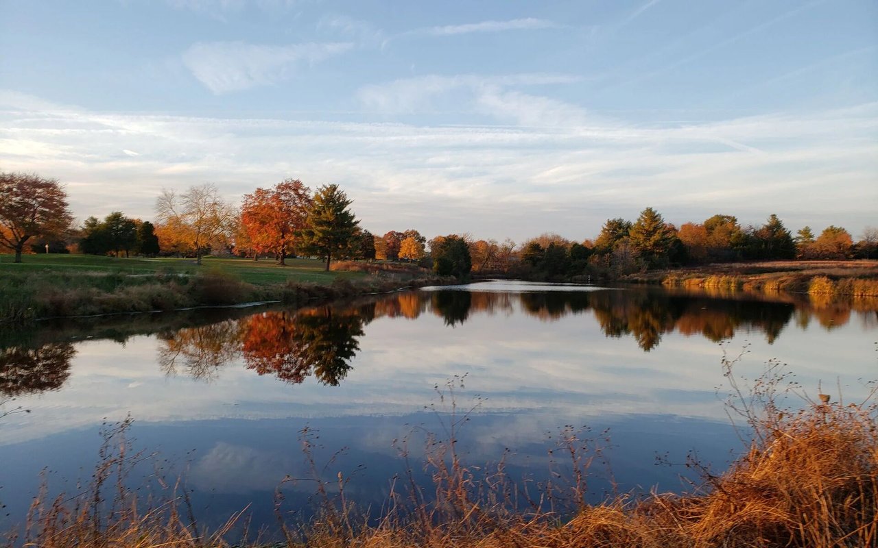 Hyland Park